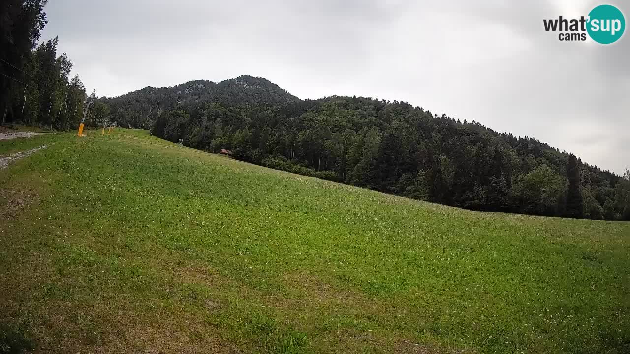 RTC Skigebiet Kranjska Gora | Brsnina