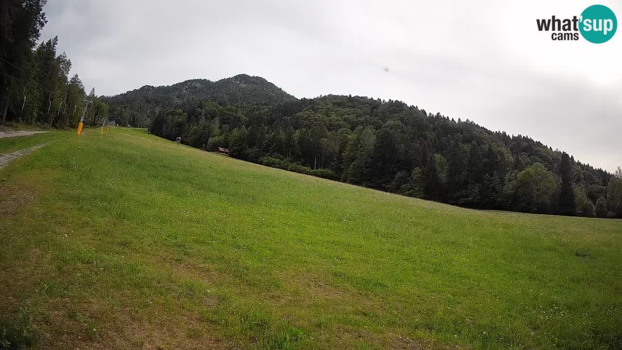 Ski Kranjska Gora | Brsnina