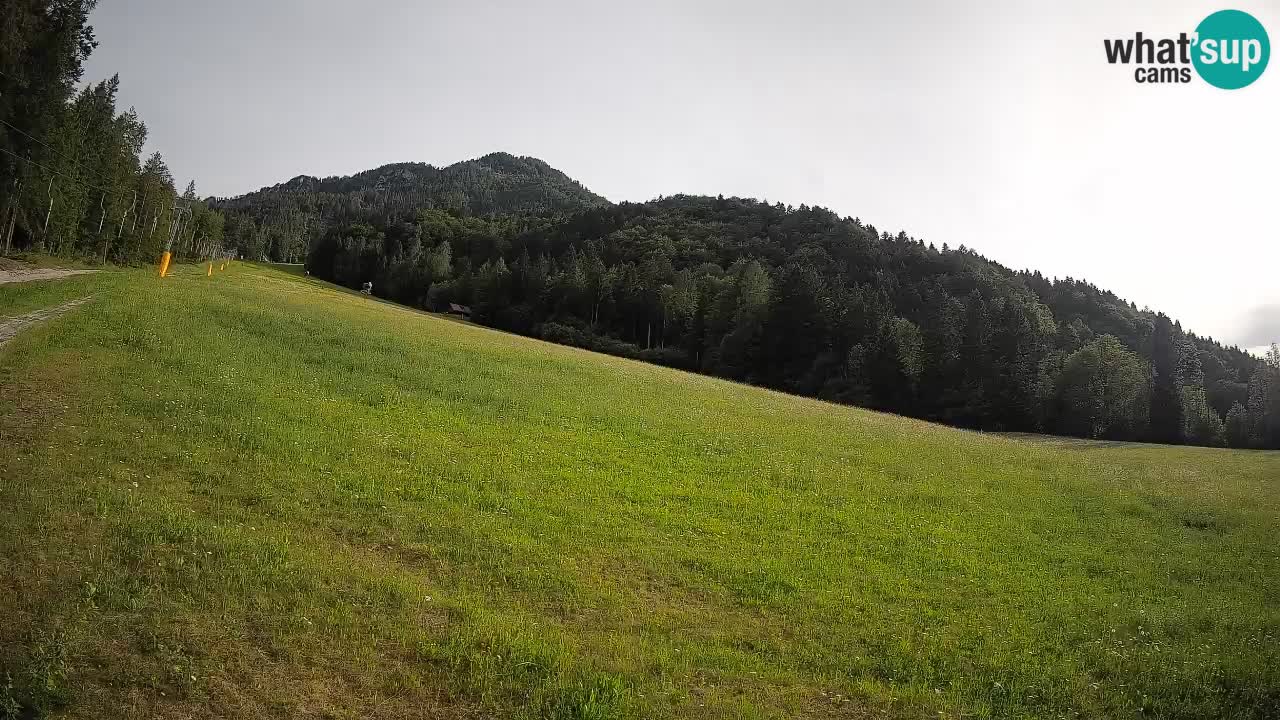 Kranjska Gora SKIJANJE | Brsnina
