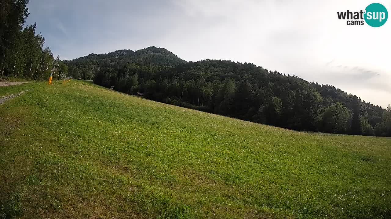 RTC Skigebiet Kranjska Gora | Brsnina
