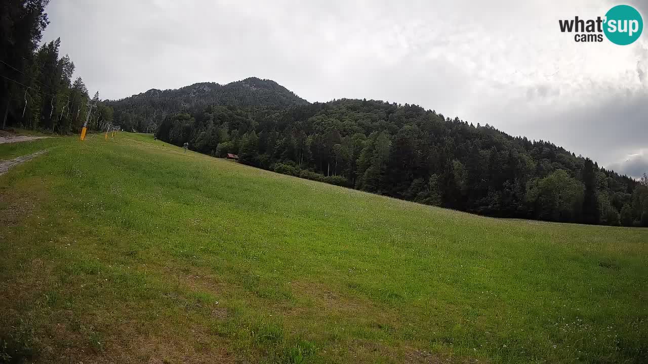 Comprensorio sciistico Kranjska Gora | Brsnina