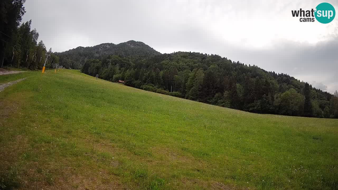 Esquí Kranjska Gora | Brsnina