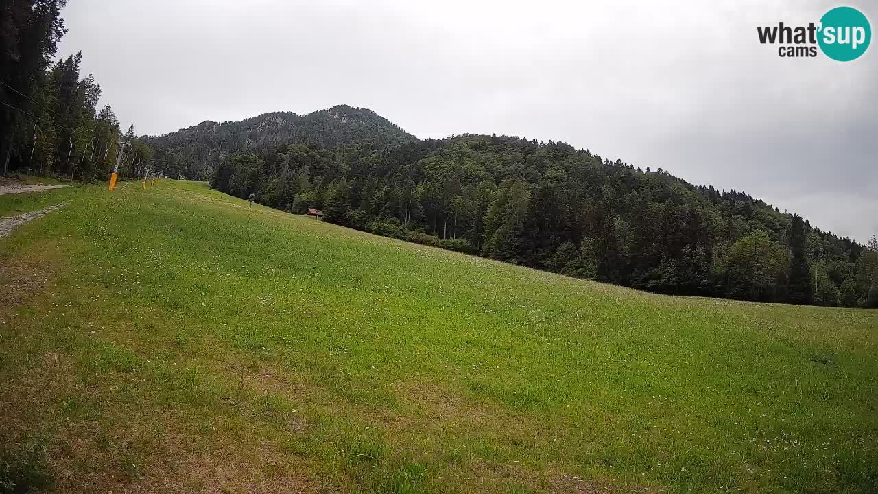 RTC Kranjska Gora | Brsnina