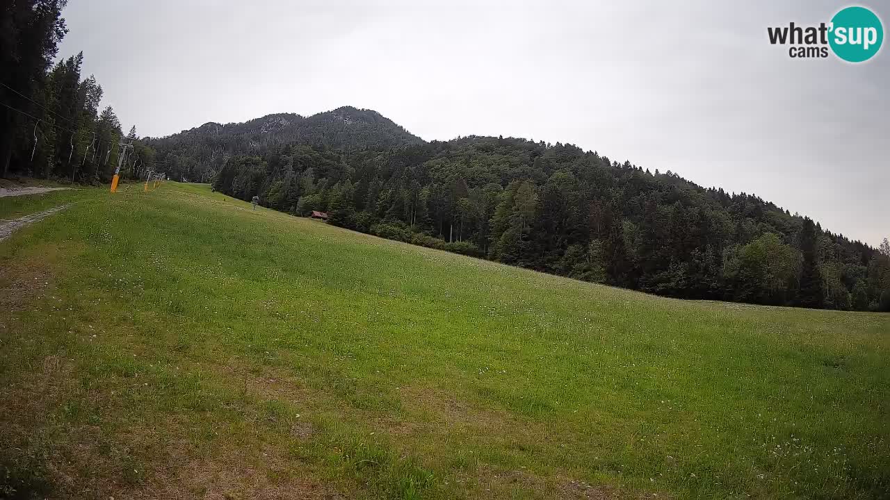 Comprensorio sciistico Kranjska Gora | Brsnina