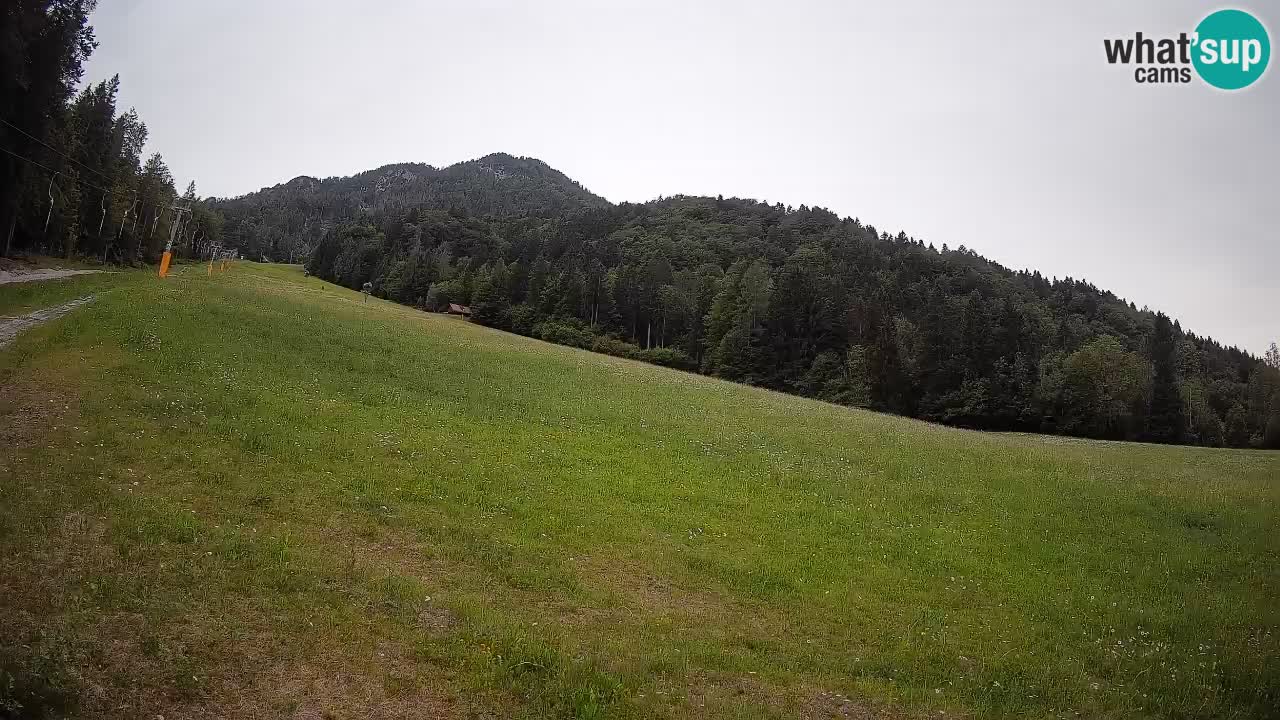 Comprensorio sciistico Kranjska Gora | Brsnina