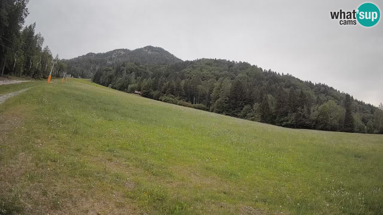 Comprensorio sciistico Kranjska Gora | Brsnina