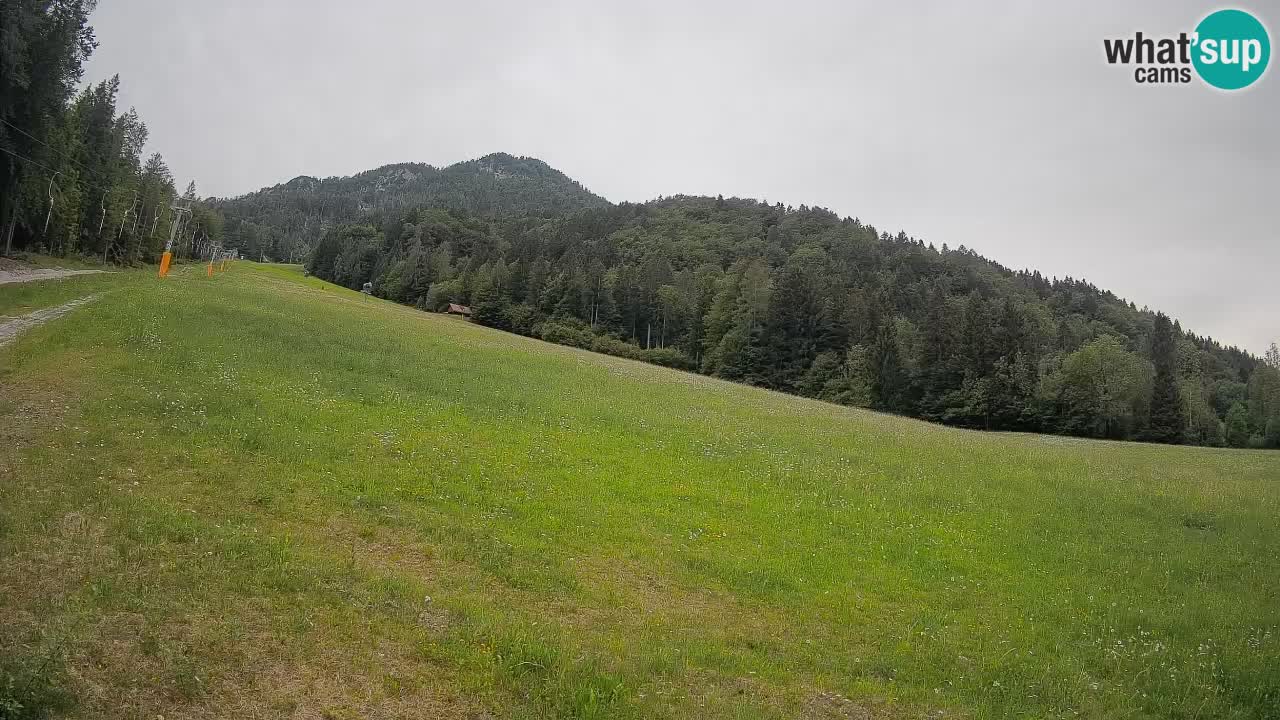 Comprensorio sciistico Kranjska Gora | Brsnina
