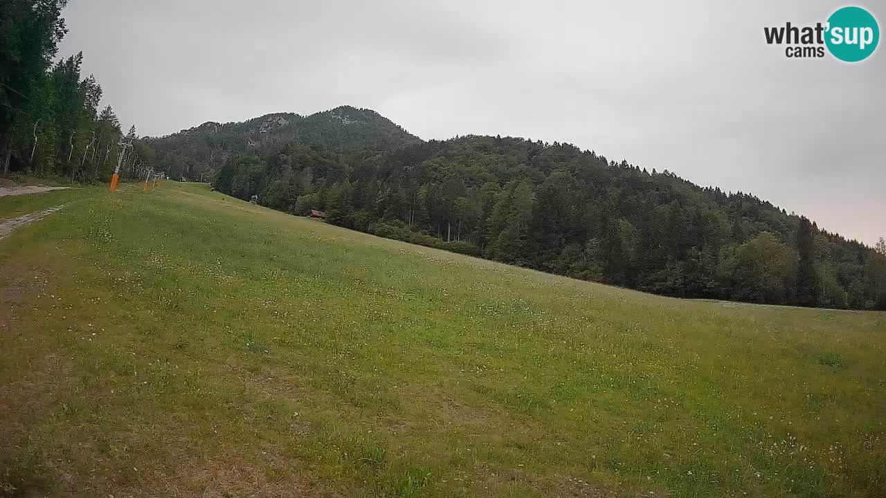 Comprensorio sciistico Kranjska Gora | Brsnina