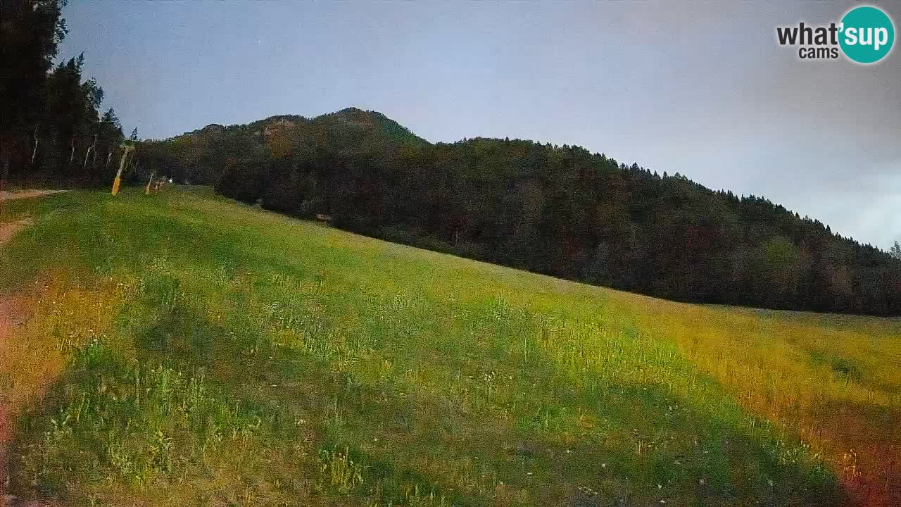 Ski Kranjska Gora | Brsnina