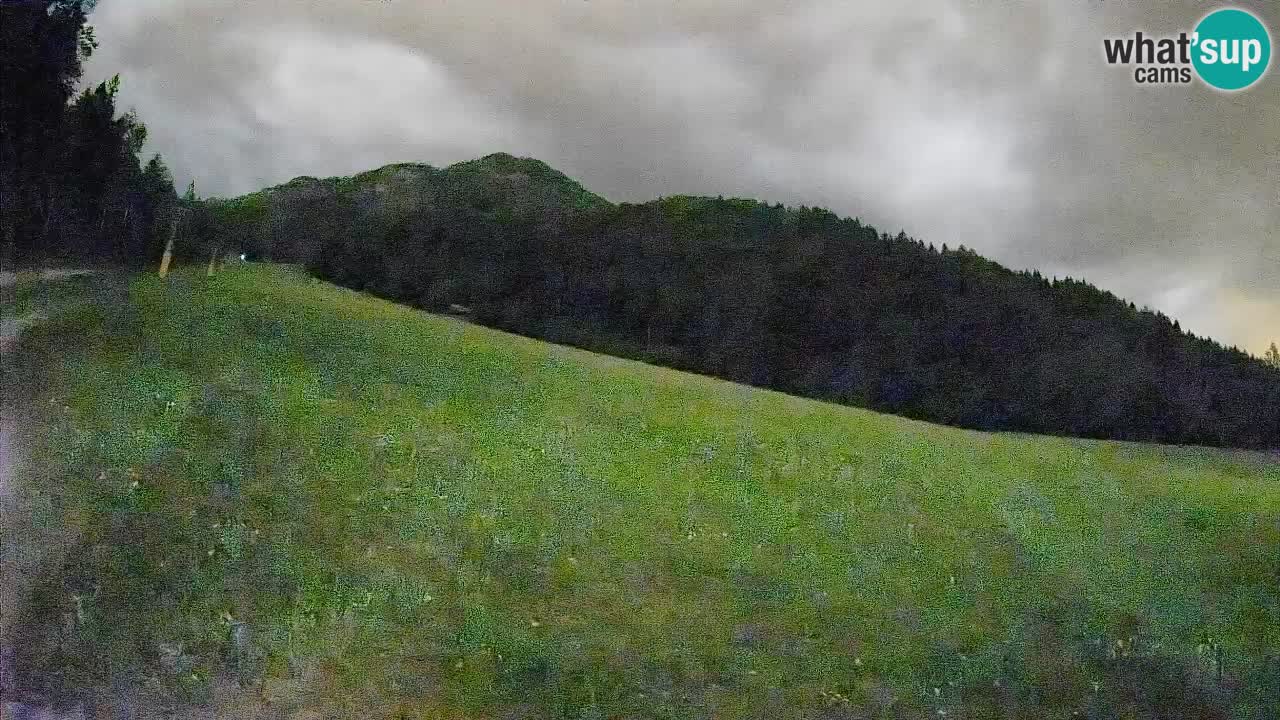 Kranjska Gora SKIJANJE | Brsnina