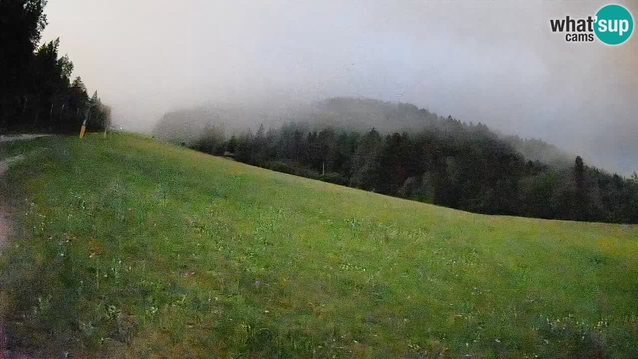 Kranjska Gora Station de ski | Brsnina
