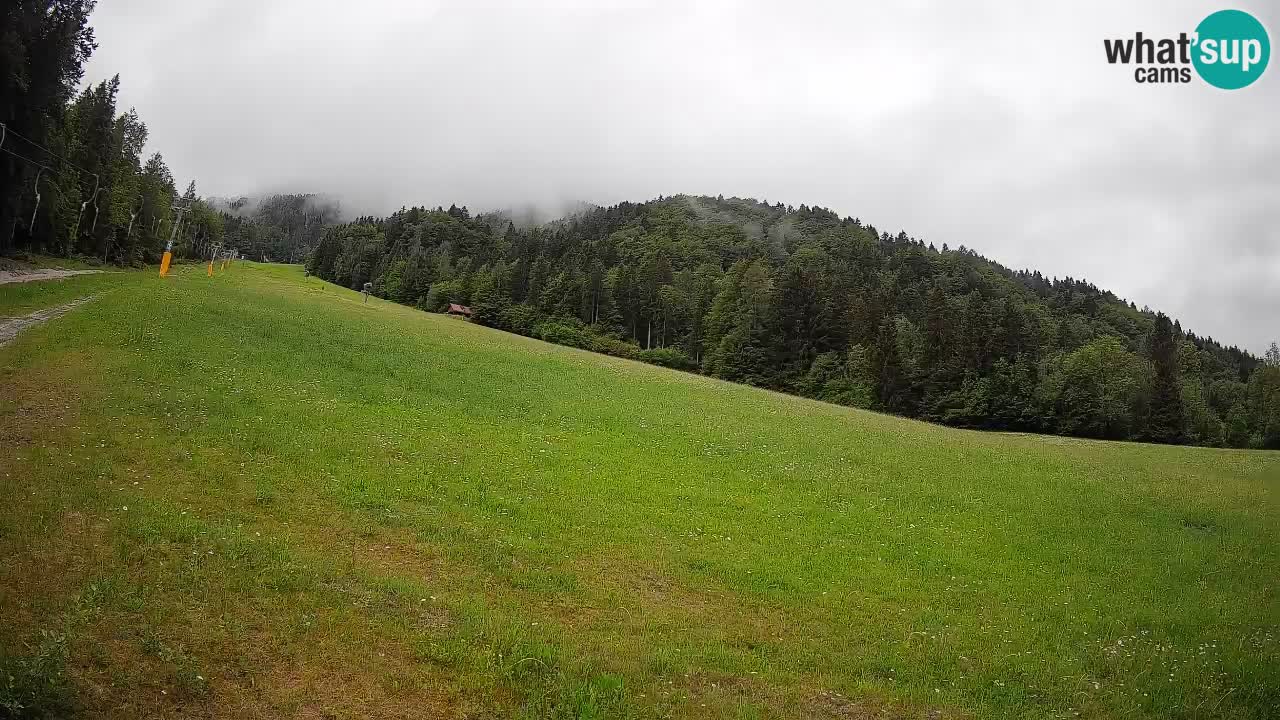 Esquí Kranjska Gora | Brsnina