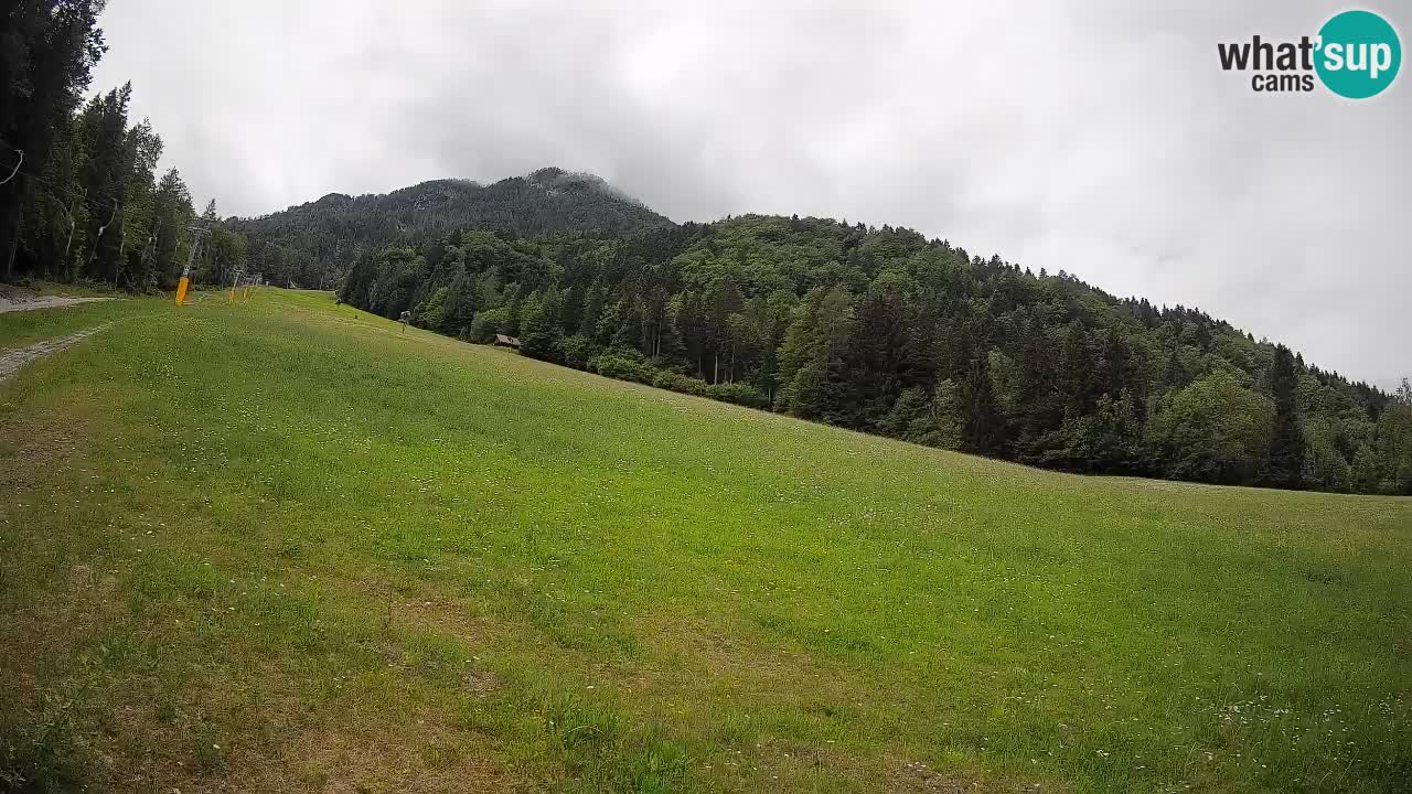 RTC Kranjska Gora | Brsnina