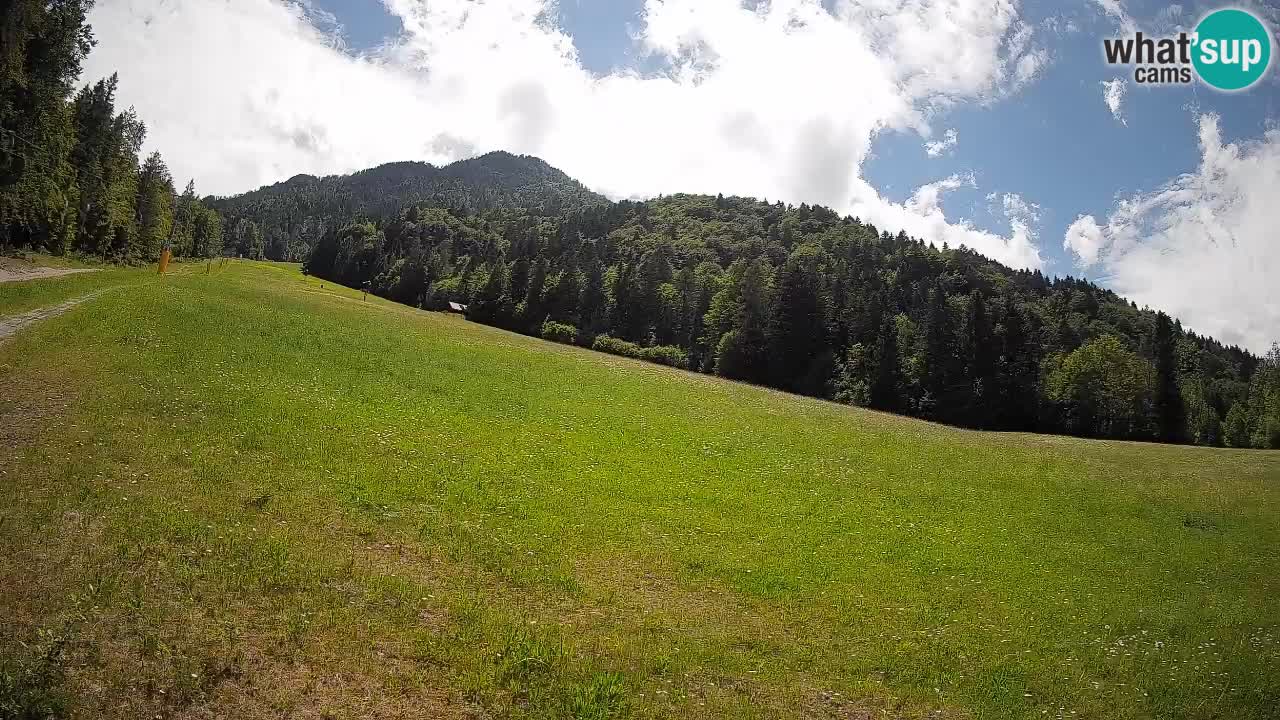 RTC Kranjska Gora | Brsnina
