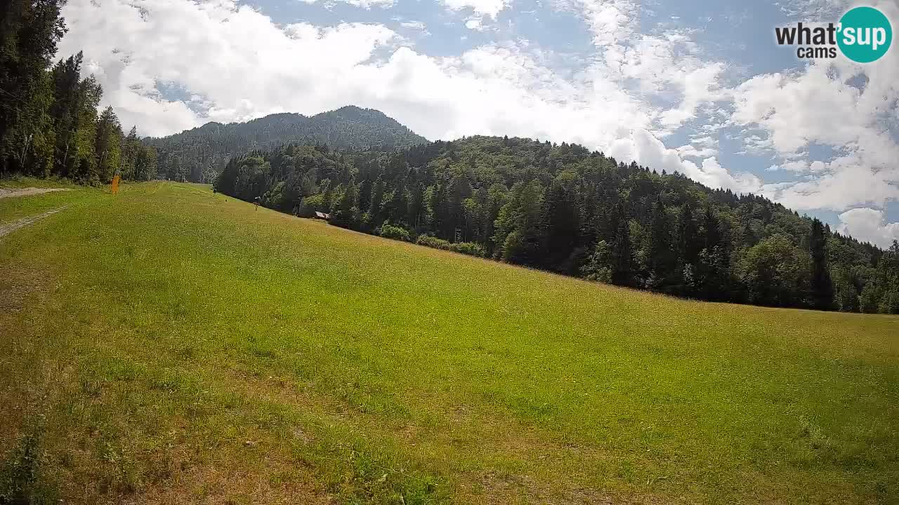 Ski Kranjska Gora | Brsnina