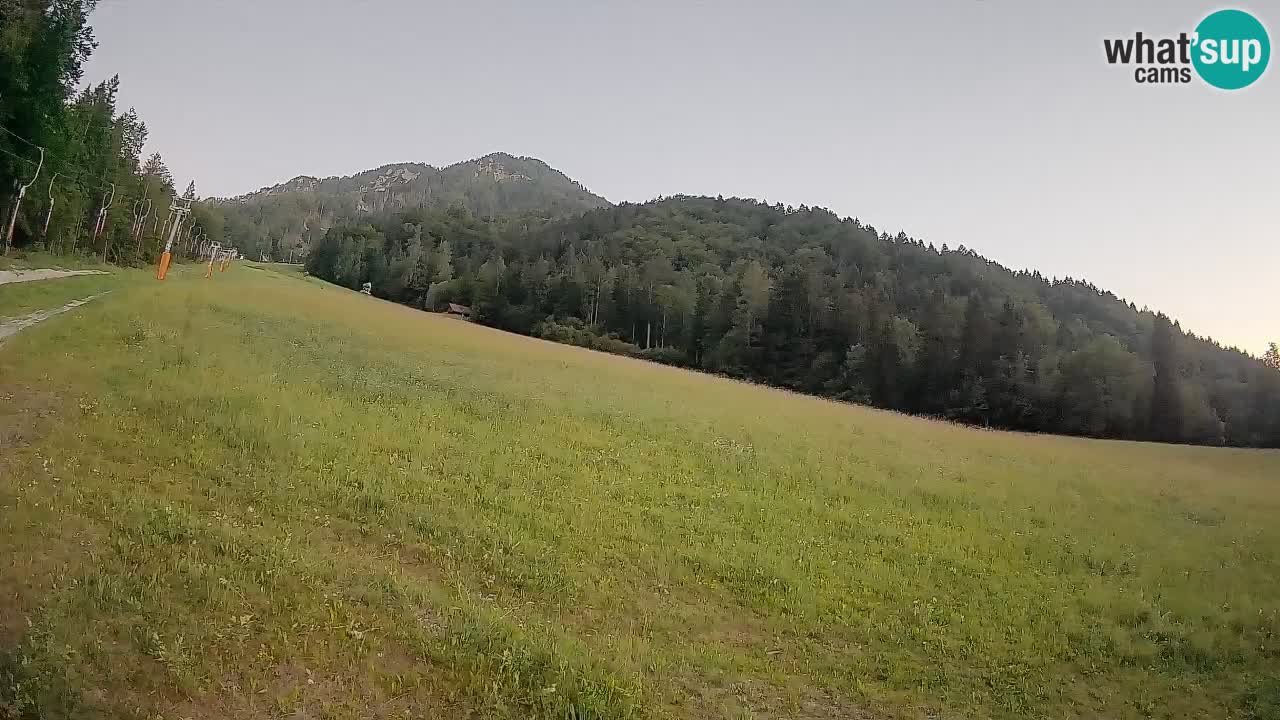 Ski Kranjska Gora | Brsnina
