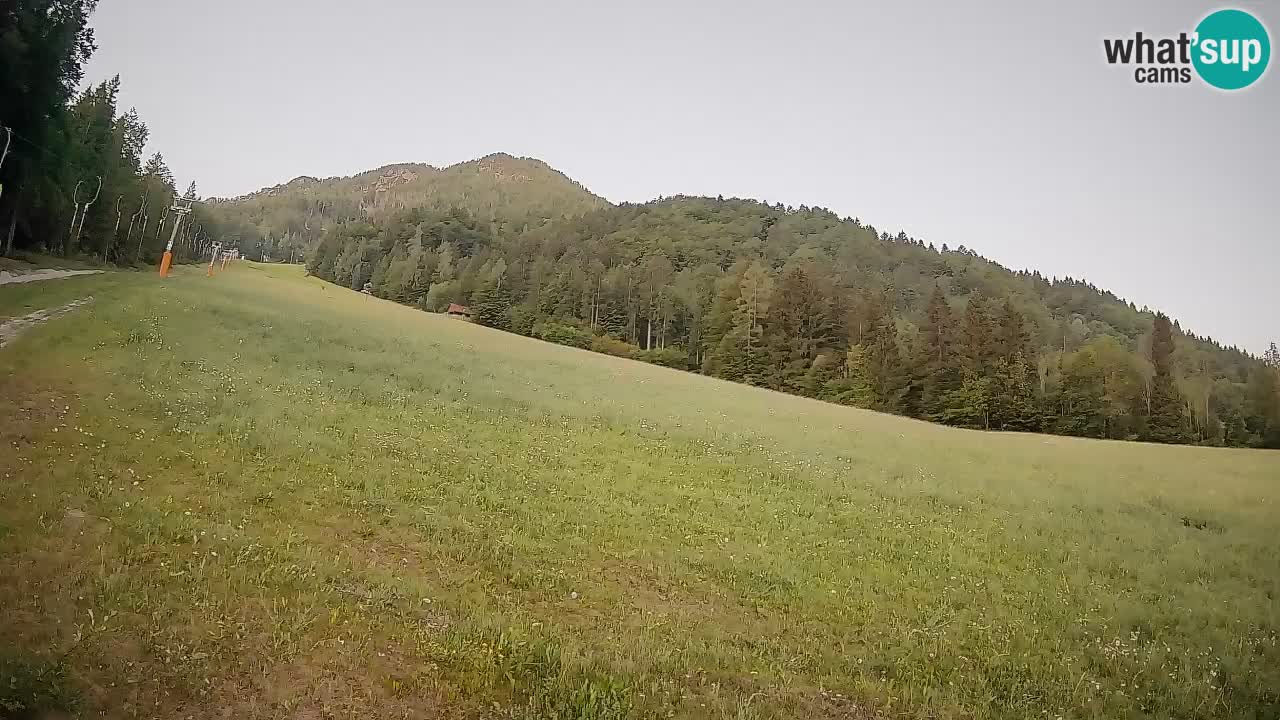 Comprensorio sciistico Kranjska Gora | Brsnina