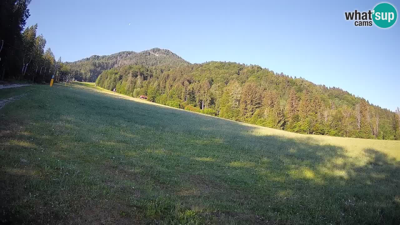 Ski Kranjska Gora | Brsnina