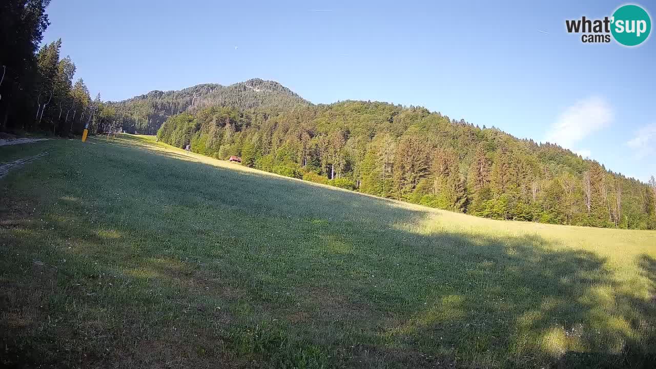 Ski Kranjska Gora | Brsnina
