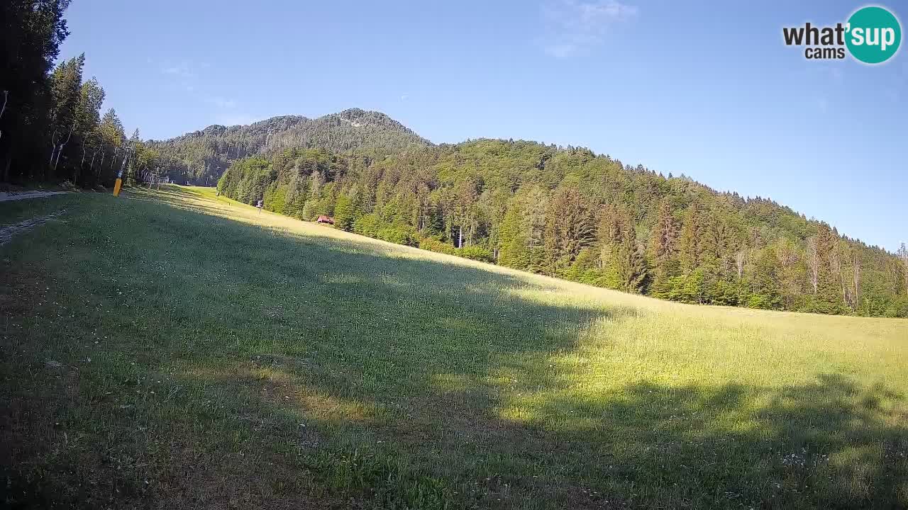 Ski Kranjska Gora | Brsnina