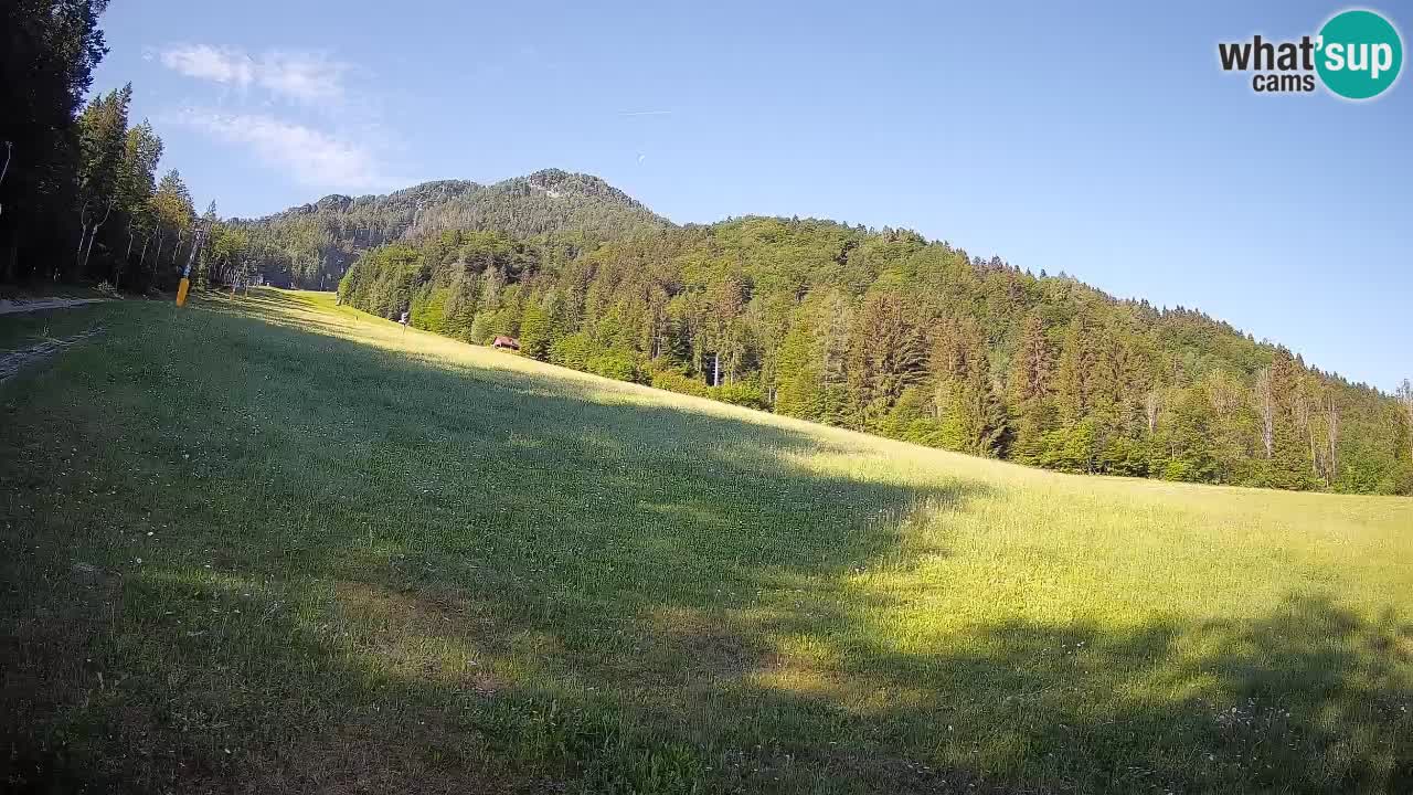 Ski Kranjska Gora | Brsnina