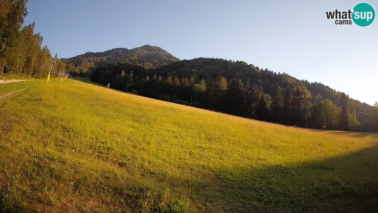 Esquí Kranjska Gora | Brsnina