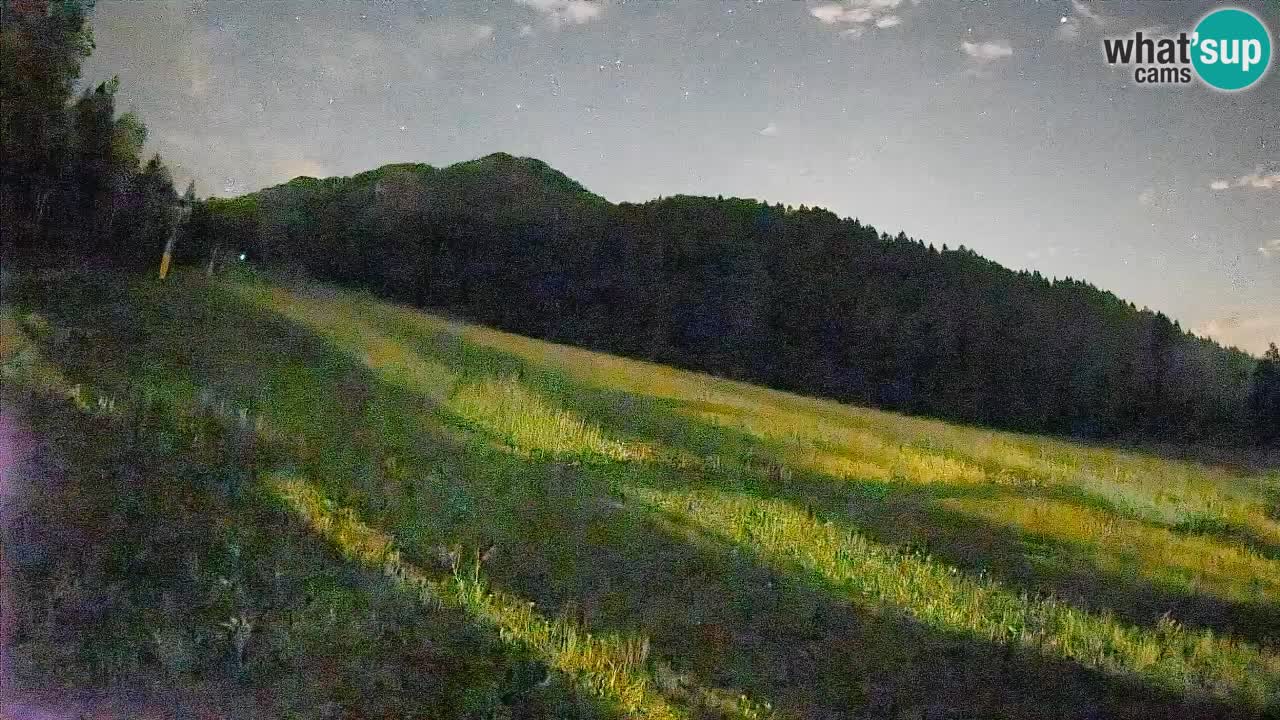 RTC Kranjska Gora | Brsnina