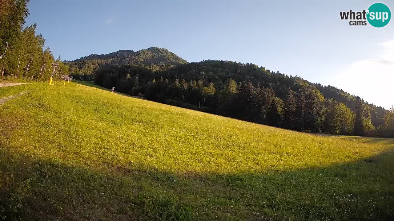 Ski Kranjska Gora | Brsnina