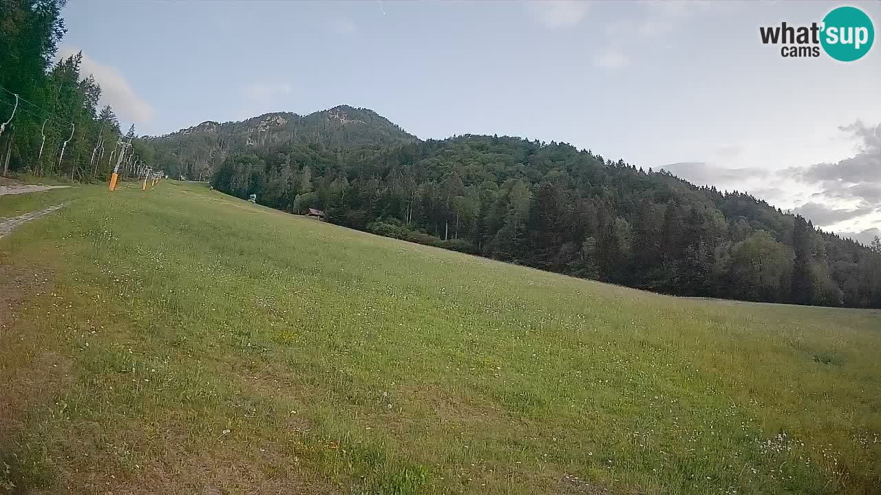 RTC Kranjska Gora | Brsnina