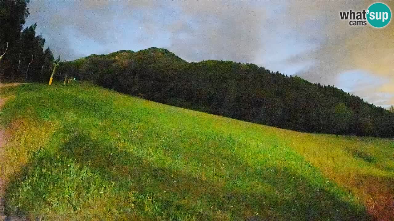 RTC Kranjska Gora | Brsnina