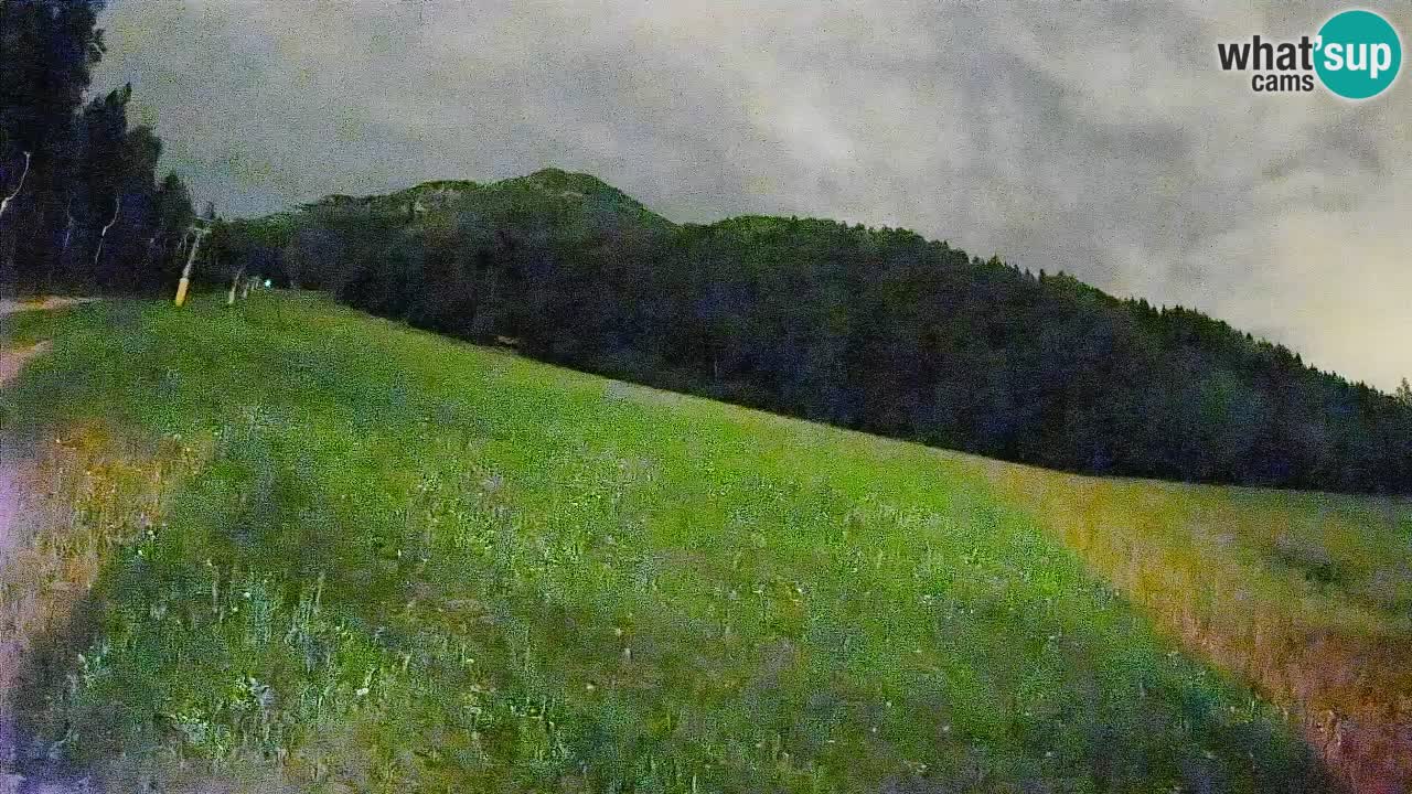 RTC Skigebiet Kranjska Gora | Brsnina