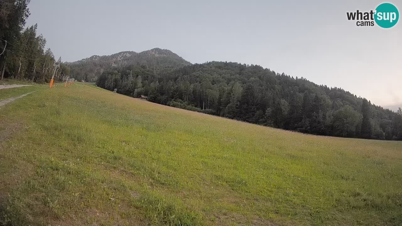 Ski Kranjska Gora | Brsnina