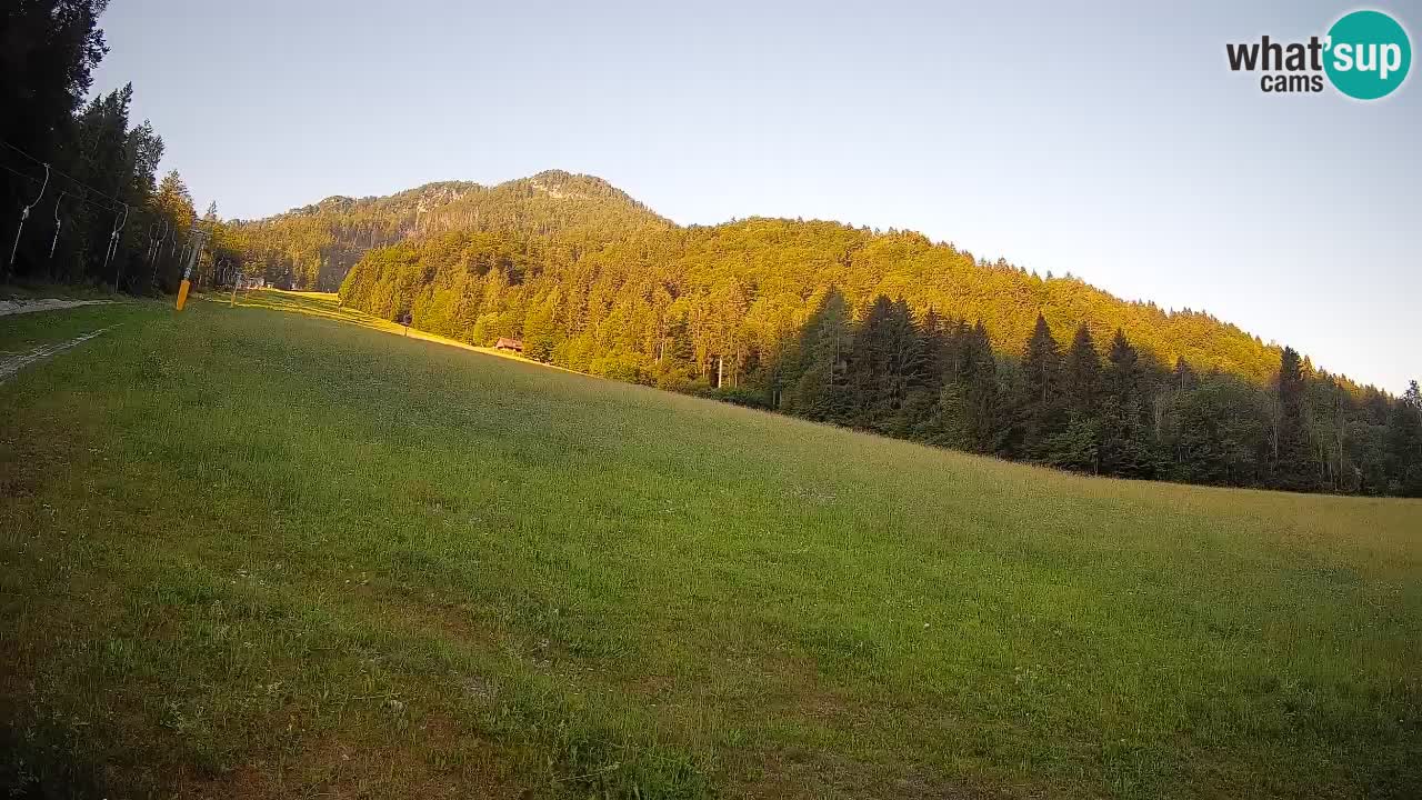 Ski Kranjska Gora | Brsnina