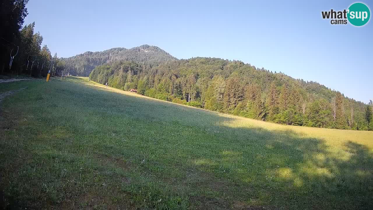 Ski Kranjska Gora | Brsnina