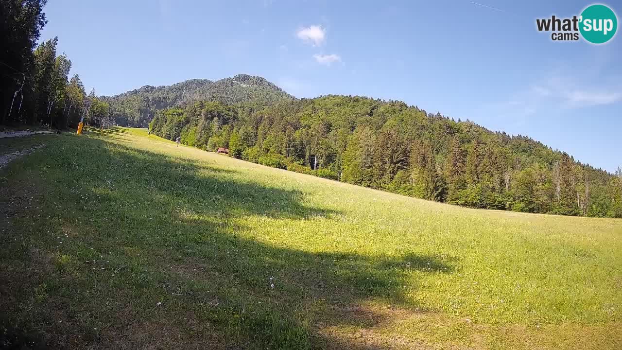 Kranjska Gora Station de ski | Brsnina