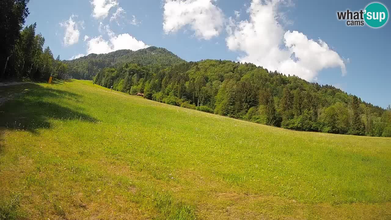 Kranjska Gora Station de ski | Brsnina