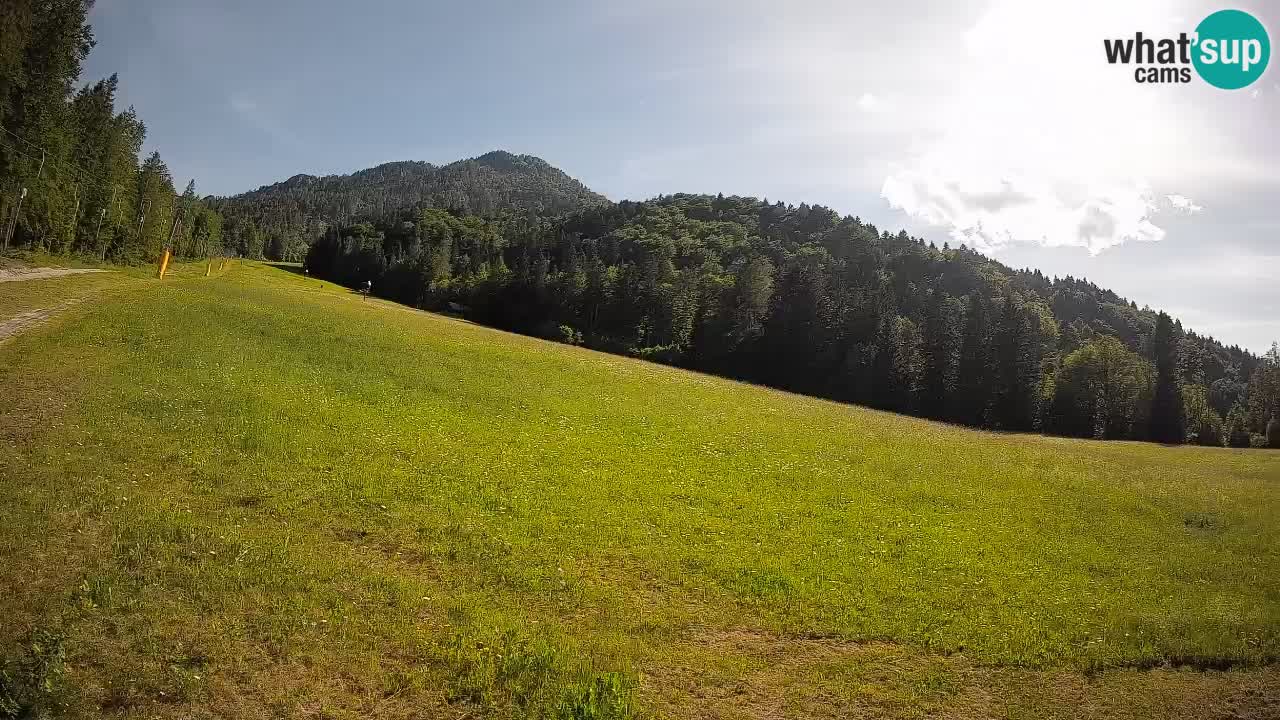 RTC Skigebiet Kranjska Gora | Brsnina