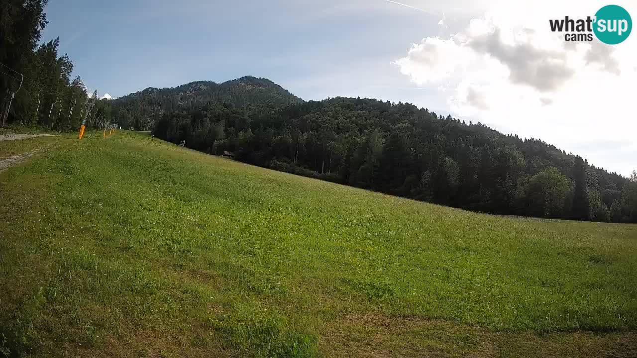 RTC Skigebiet Kranjska Gora | Brsnina