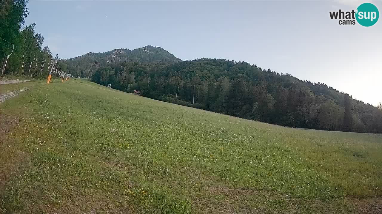 RTC Kranjska Gora | Brsnina