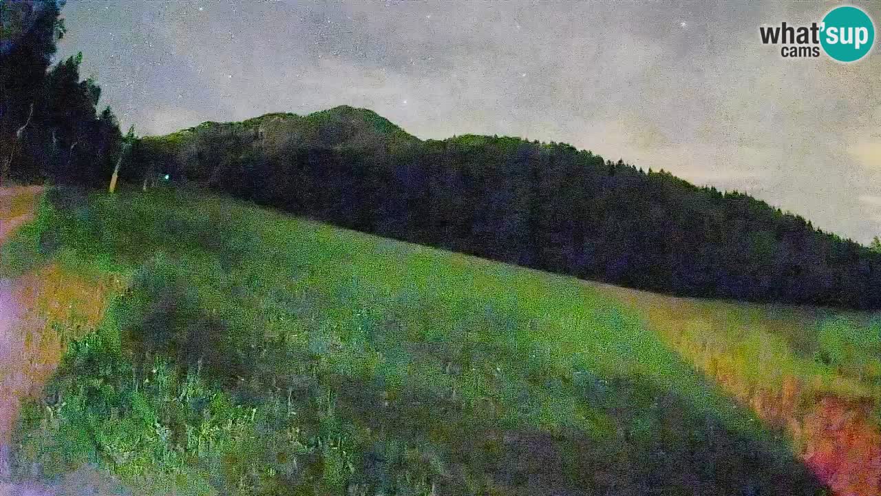 RTC Kranjska Gora | Brsnina
