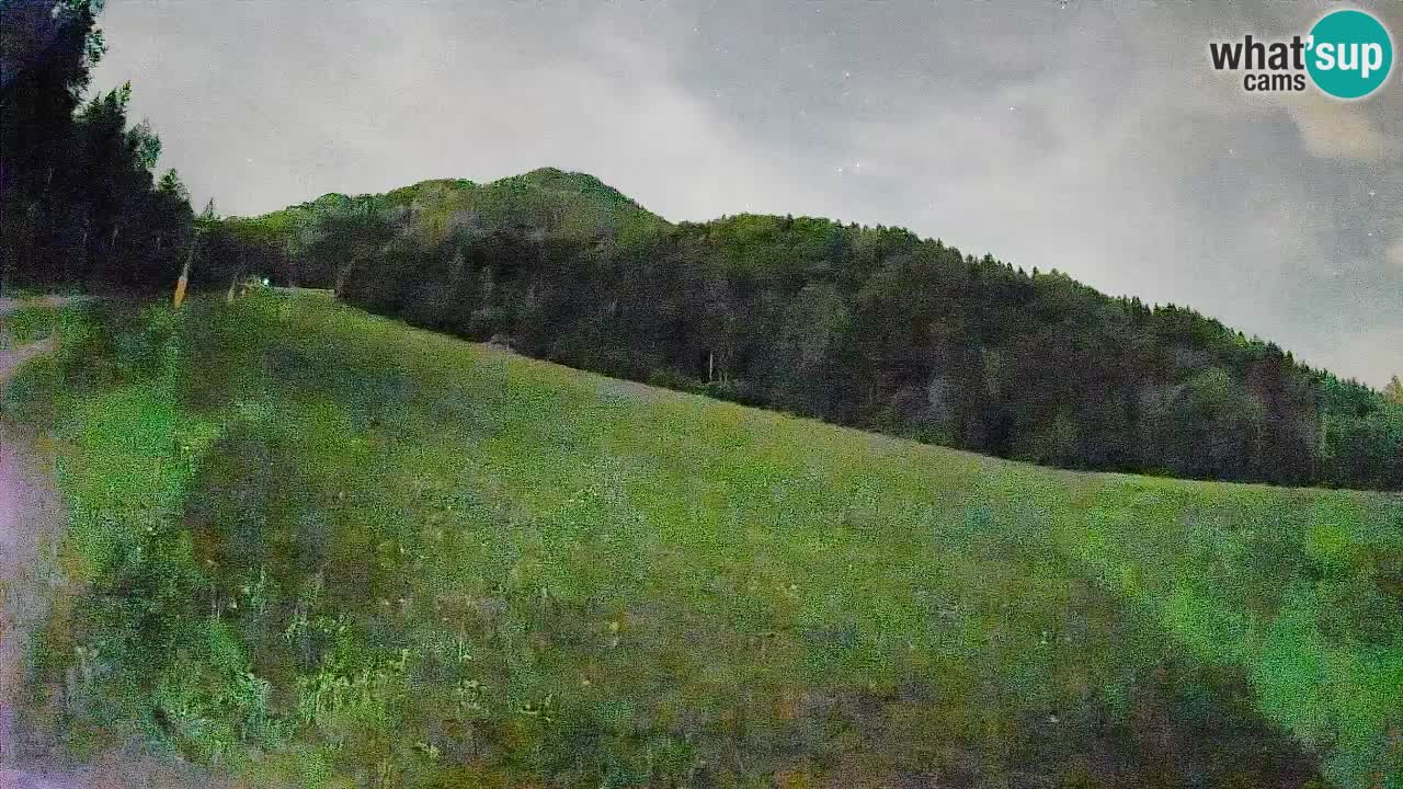 Ski Kranjska Gora | Brsnina