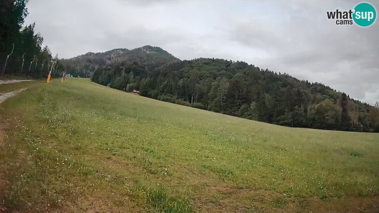 Ski Kranjska Gora | Brsnina