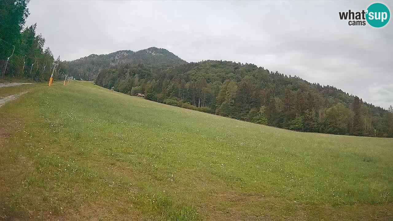 Comprensorio sciistico Kranjska Gora | Brsnina