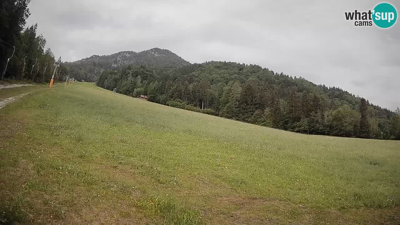 Comprensorio sciistico Kranjska Gora | Brsnina