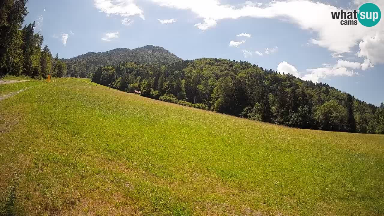 Ski Kranjska Gora | Brsnina