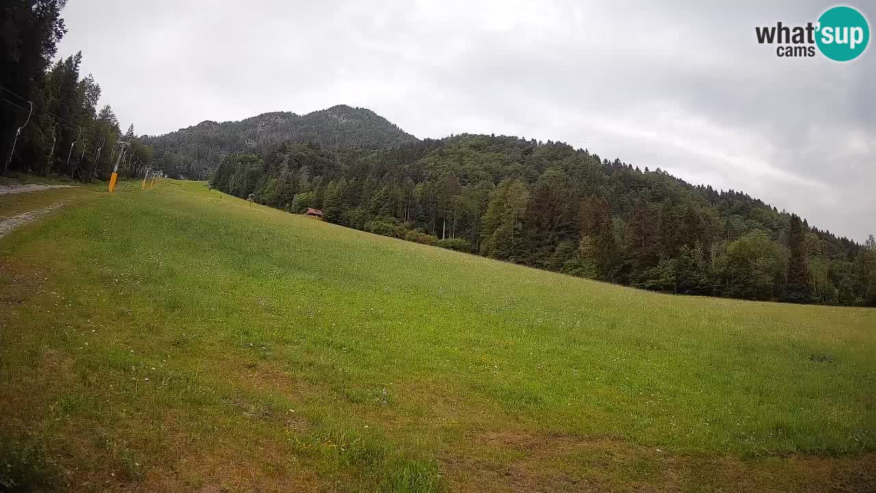 Kranjska Gora Station de ski | Brsnina