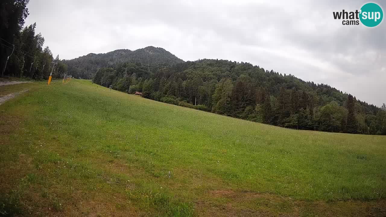 Ski Kranjska Gora | Brsnina
