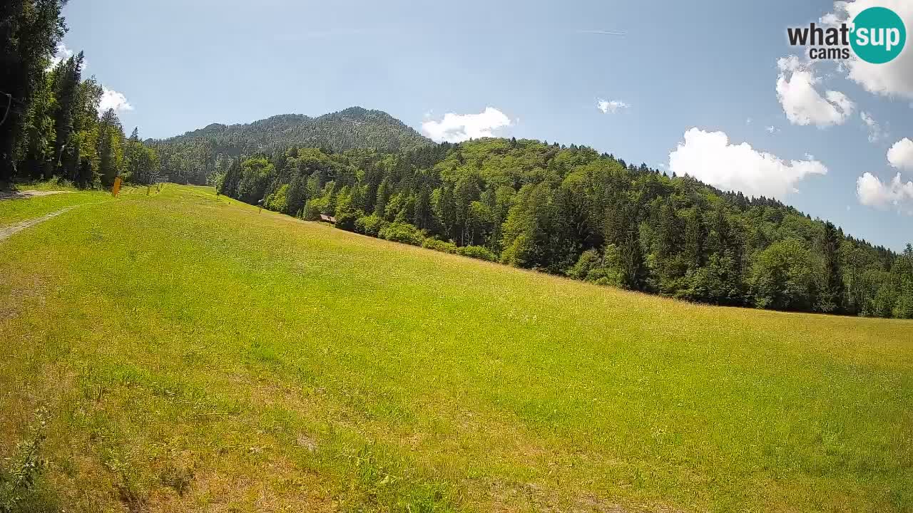 Ski Kranjska Gora | Brsnina