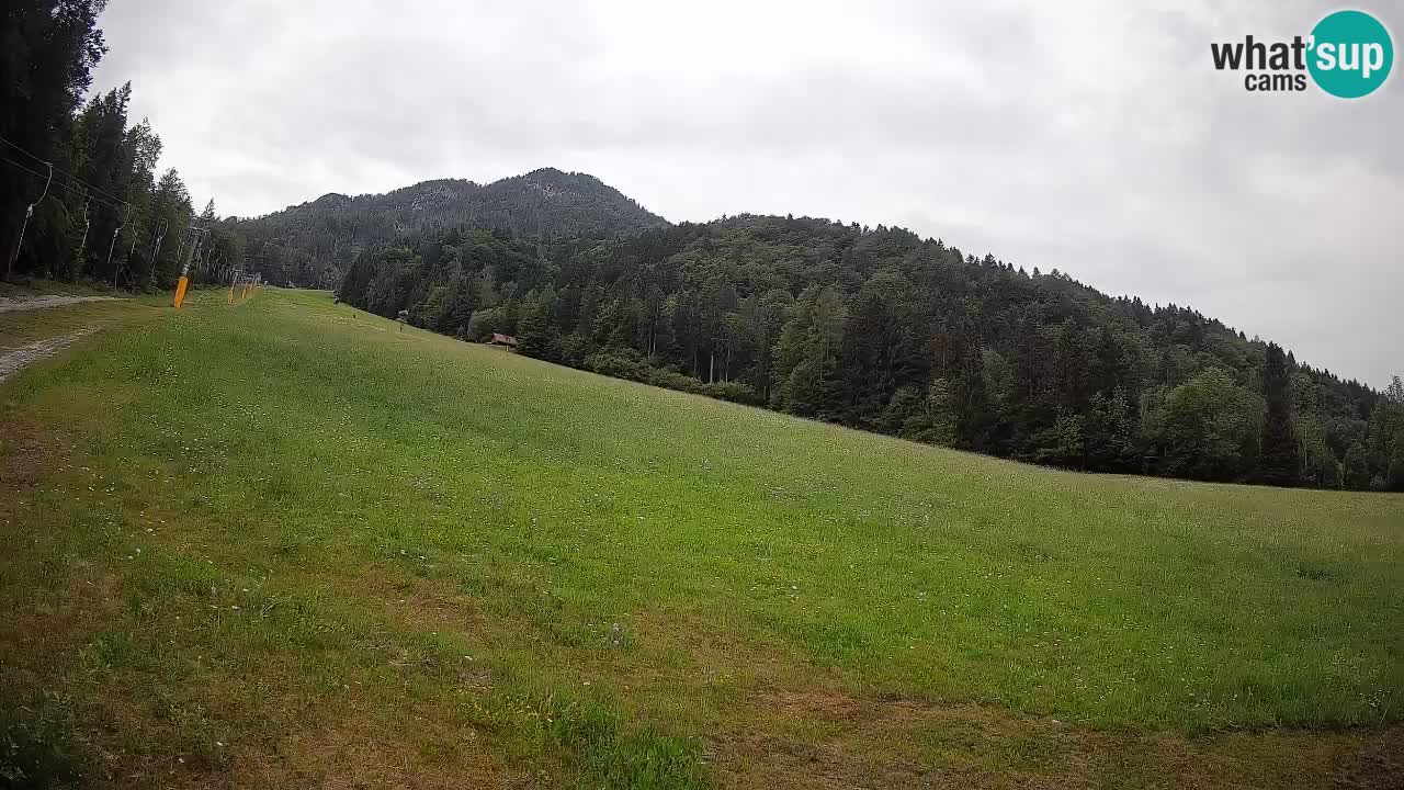 Comprensorio sciistico Kranjska Gora | Brsnina