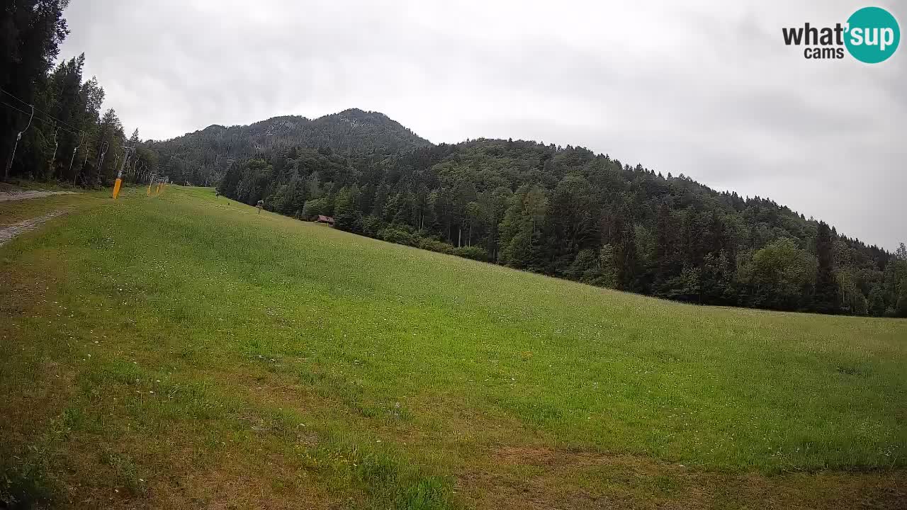 Comprensorio sciistico Kranjska Gora | Brsnina